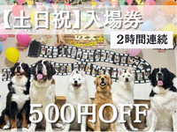 入場券（お盆土日祝）2時間連続
