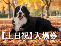 入場券（お盆土日祝）