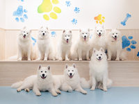 ≪Summer vacation period: July 25 – August 31≫ Private hire plan (50 minutes) ¥45,000