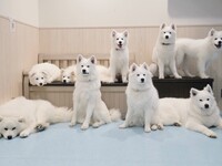 ≪夏休み期間7/25～8/31≫貸切プラン（50分）¥45,000