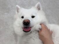 ≪여름방학 기간 7/25~8/31≫ 단독 대관 플랜 (50분) ¥45,000