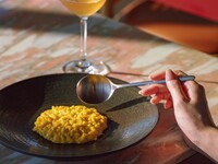 【LUNCH】平日限定シーズナルコース(メインが選べるランチコース全5品)