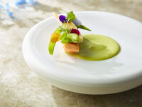 【Lunch】Gourmet Voyage Lunch ~A Culinary Journey Through Tokyo Summer 2026~