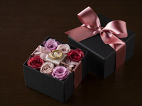 【Private Room】Propose Plan