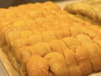 特選ウニコース　38,500円より