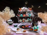 アフタヌーンティーセット ～のとじま水族館 Halloween Night～１名様
