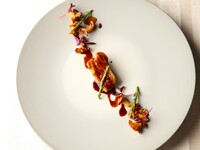 【ディナー】Pairing Degustation course ～東京美食巡り2026夏～