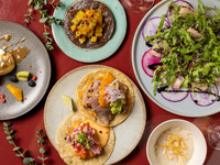 【ディナー】4 Course Dinner  人気のワカモレとタコス、メインが選べるメニュー+1品無料グレードアップ+飲み放題付き