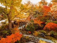 【10/21～11/6限定】紅葉会席10000