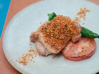 【LUNCH｜11:00 限定】PREFIX COURSE 乾杯酒付き 全5品 (事前予約)