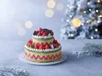 【Limited to 20】Two-Tier Premium Fraisier