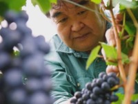 〈11/14 限定〉KIRINOKA VINEYARDS＆WINERY ワインメーカーズディナー
