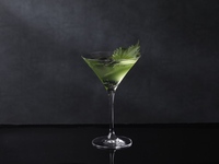 Shine Muscat Squash Soda