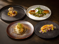 Chef's Course 【4 dinner course】
