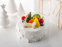 2026ドッグ用クリスマスケーキ