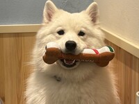 《初回限定・土日祝》はじめて2回チケット（50分×2回）