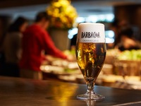 Dinner — All‑You‑Can‑Drink Course