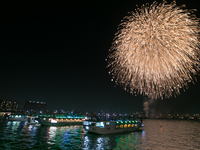 (Normal passenger ferry) Tokyo Bay Fireworks Festival
