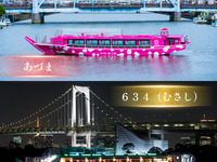 【💎Guide to Special Upgrade Seat Shared Boats💎】