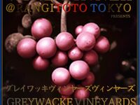 VIP Greywacke Wine Dinner (Oct 24th)