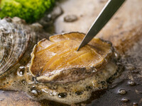 Abalone Course