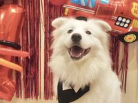【12時枠限定】まちたくんバースデーイベント