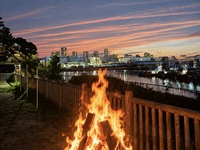 Fire pit