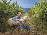 【Folium Vinyard】第一部・テイスティングセミナー（スタンディング）