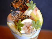 Merachi parfait