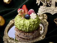 【Christmas cake】Snow Forest