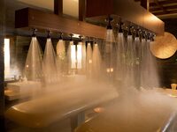 Frangipani Shower Treatment 120 minutes