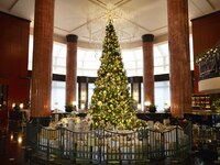 【11月以后的预约】午餐自助餐（周六、周日及节假日）