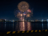 【東京湾大華火祭】大人用（二部）