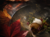 Autumn Collection 2026