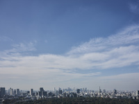 【窓側確約＆乾杯酒付フルコースランチB】（11:00～11:30予約）