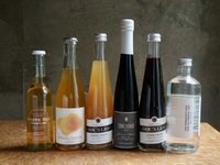 Seasonal course menu (7 dishes) + non-alcoholic pairing