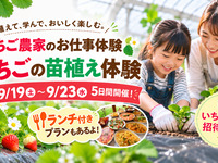 ★いちごの苗植え体験＆抹茶パフェセット付プラン