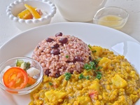 Fermented Curry