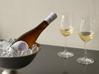 【Dinner Course】 A full-bottle pairing course to gracefully embrace the arrival of autumn <6 courses>
