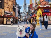 <Available after 5 PM> Walk in matching Samoyed-themed happi coats! A 30-minute stroll plan