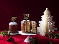 Online payment — Panettone