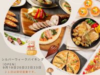 シルバーウィークバイキング大人