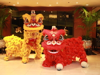 【ドラゴン会員様 限定価格】開運‼中国獅子舞バイキングショー2027（1月3日限定優待）