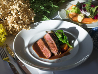 [Most Popular!!] Great-Value Bistro Course [Menu B] + All-You-Can-Drink