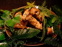 Premium Matsutake Course: 38,000 yen