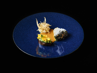 【LUNCH】Vegetarian Chef's Courese