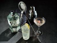 [Limited to 10 participants] Cocktail Academy “Cocktail Secrets”