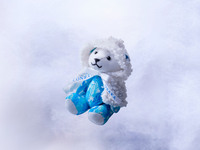 【12/19-1/3/WEB11％OFF】コンラッドホリデーベア付きフェスティブシーズン・スペシャルランチビュッフェ