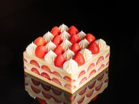 Snowberry Noël スノーベリーノエル（15cm X 15cm）