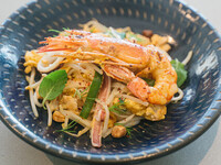 平日Specialランチコース！スペインの郷土料理「名物 サルスエラ」が食べられるエスニックコース・全8種から選べるメイン料理